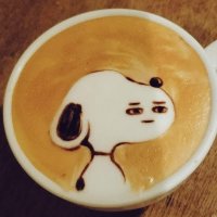 開発者ぱくぱくのアイコン